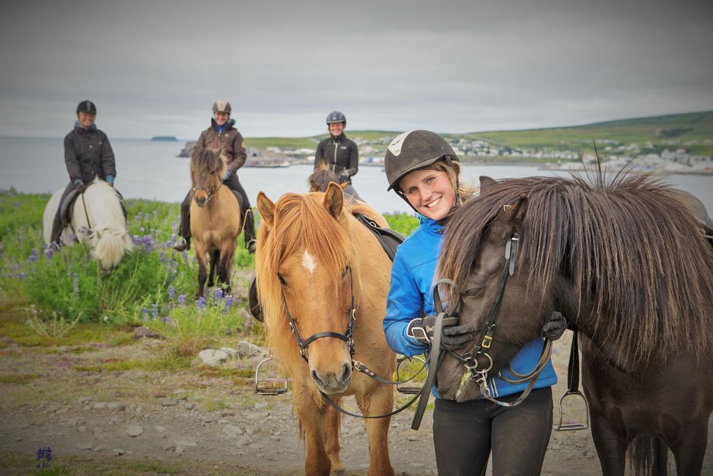 Saltvik Farm Guesthouse Húsavík Dış mekan fotoğraf